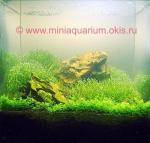 Мини-аквариум 4 л