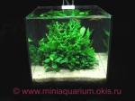 Мини-аквариум 15 л