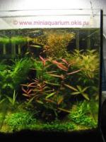 Мини-аквариум 30 л